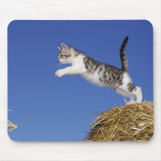 Kitten Jumping 2 Mouse Pad (Front)