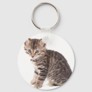kitten keychain