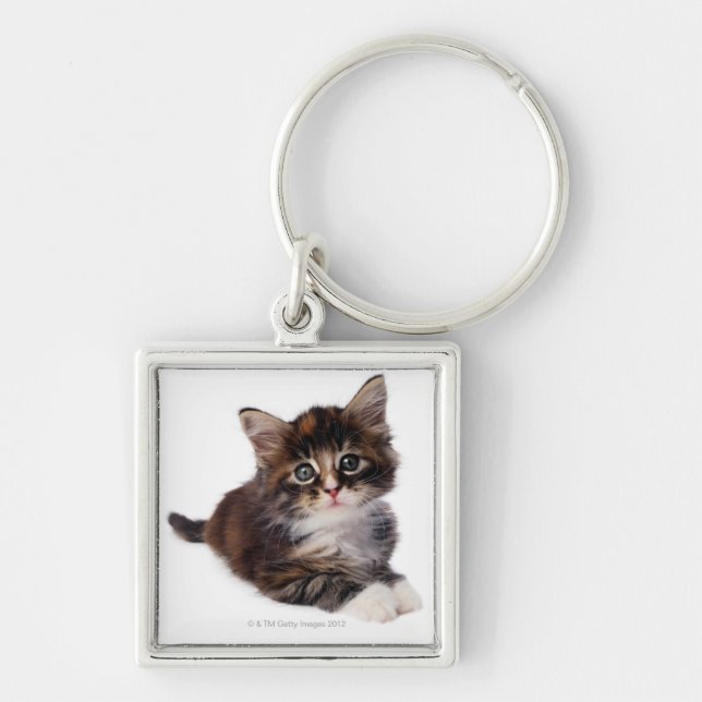 Kitten Keychain (Front)