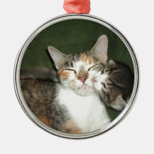 Kitten Kiss Metal Ornament