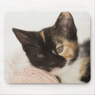 Kitten laying on ball of string mouse pad