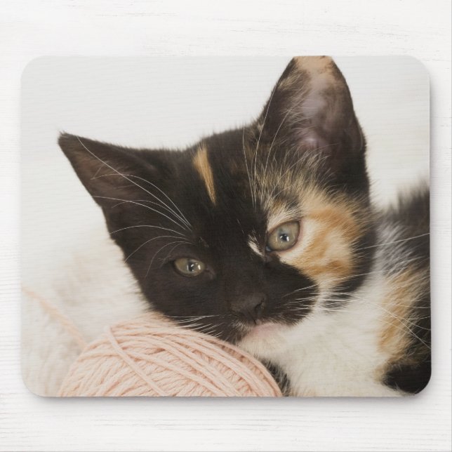 Kitten laying on ball of string mouse pad (Front)