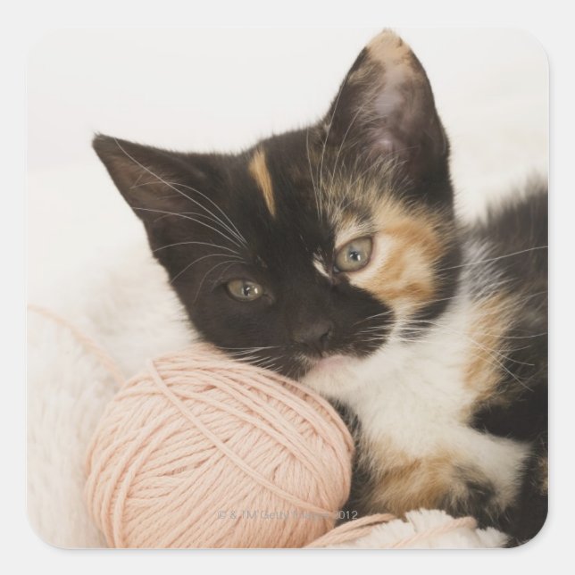 Kitten laying on ball of string square sticker (Front)