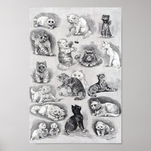 Kitten Life at the Cat Show, Louis Wain Poster