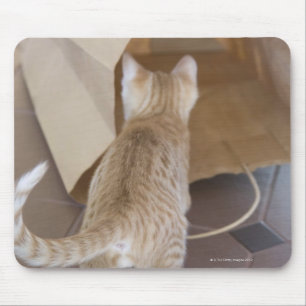 Kitten Looking into the Abyss of a Bag Mouse Pad