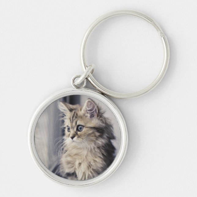Kitten Looking Out Window Keychain (Front)