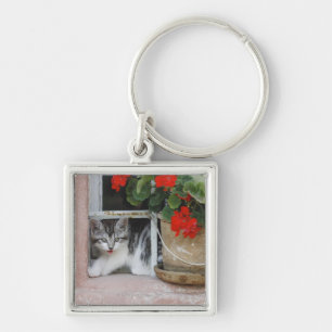 Kitten Looking Out Window Keychain