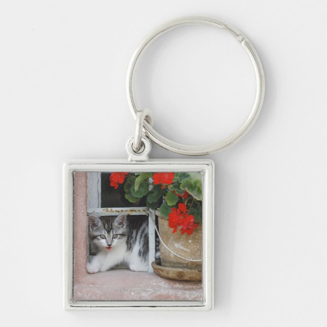 Kitten Looking Out Window Keychain (Front)