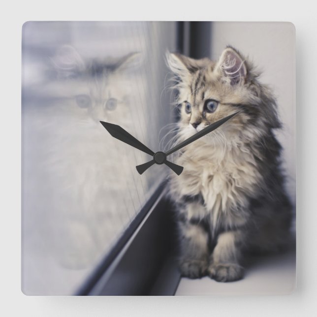Kitten Looking Out Window Square Wall Clock (Front)