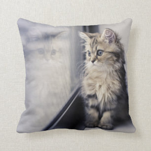 Kitten Looking Out Window Throw Pillow