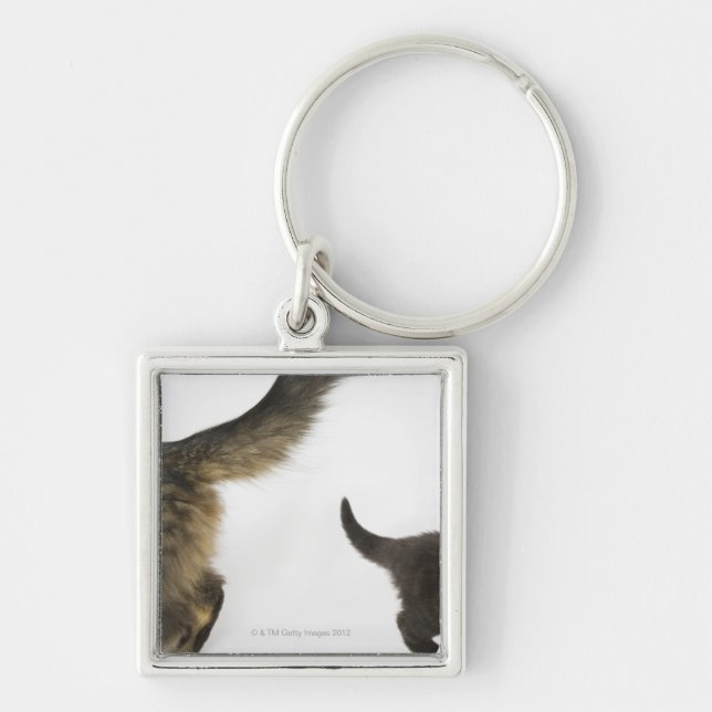 Kitten Looking up at its Mother's Tail Keychain (Front)