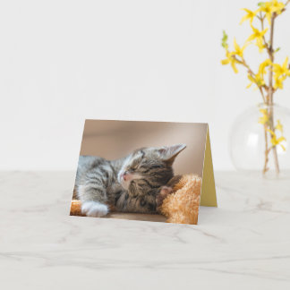 Kitten Love Card