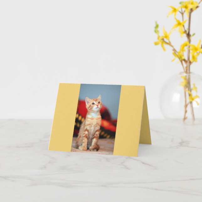 Kitten Love Card (Yellow Flower)