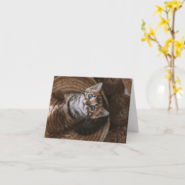 Kitten Love Card (Yellow Flower)