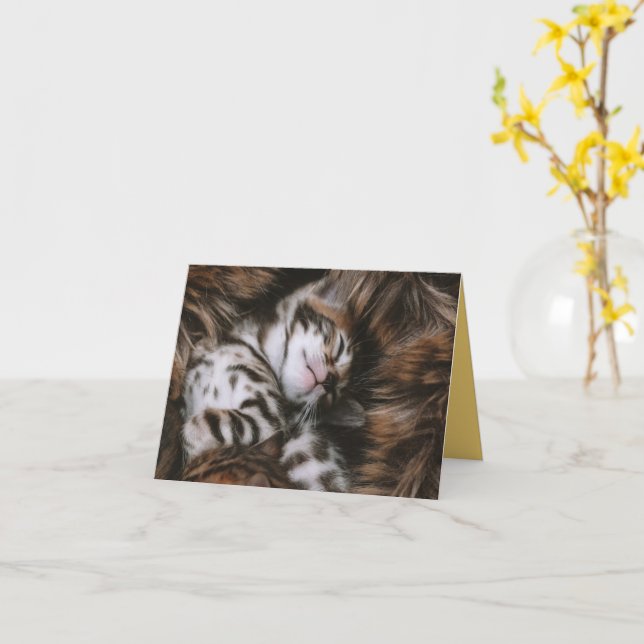 Kitten Love Card (Yellow Flower)