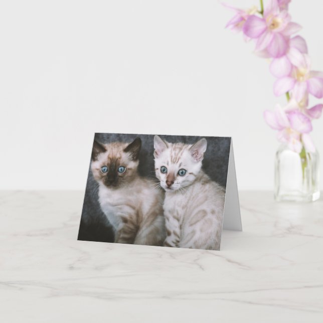 Kitten Love Card (Orchid)