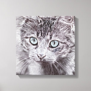 Kitten Love Cute Kitty Cat With Luminous Blue Eyes Canvas Print