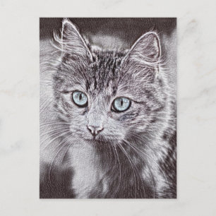Kitten Love Cute Kitty Cat With Luminous Blue Eyes Postcard