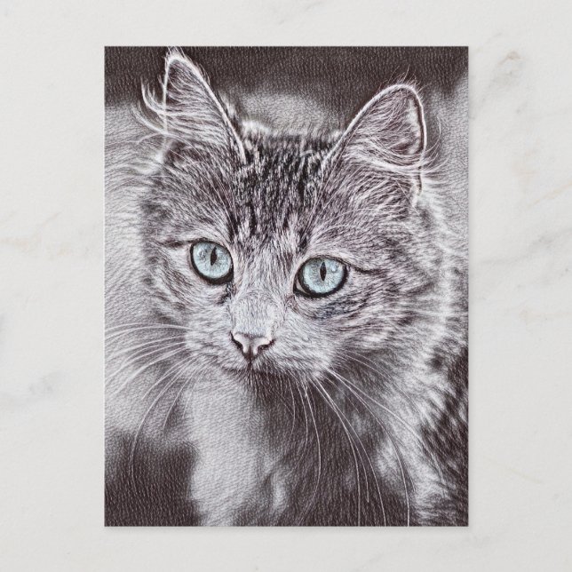 Kitten Love Cute Kitty Cat With Luminous Blue Eyes Postcard (Front)