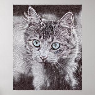 Kitten Love Cute Kitty Cat With Luminous Blue Eyes Poster