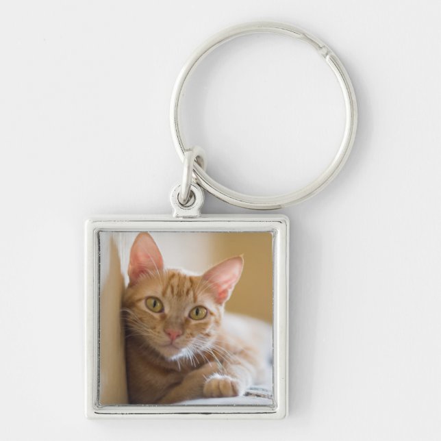 Kitten Lying On The Couch Keychain (Front)