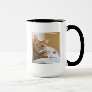 Kitten Lying On The Couch Mug