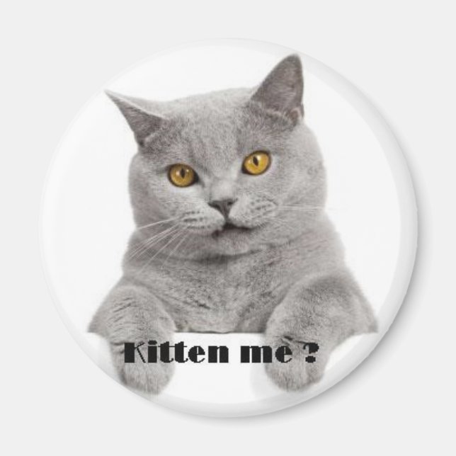 kitten me ? magnet (Front)