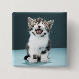 Kitten meowing 2 inch square button