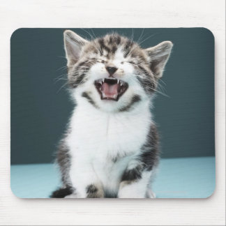 Kitten meowing mouse pad