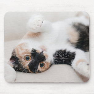 Kitten Mouse Pad