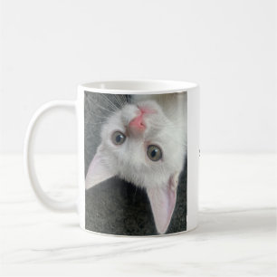 Kitten Mug, Funny Mug