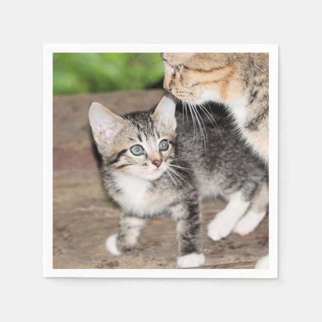 Kitten Napkin (Front)