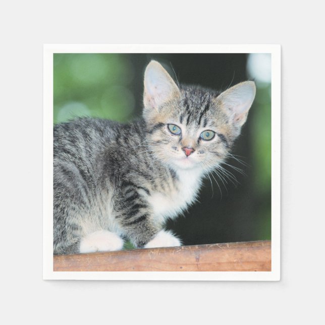 Kitten Napkin (Front)
