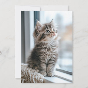 Kitten near the the window Flat Holiday Card