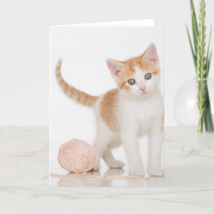 Kitten Next To Ball Of String Card
