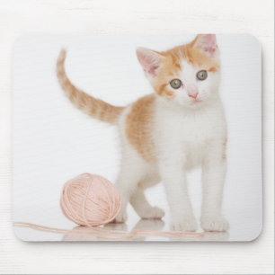 Kitten Next To Ball Of String Mouse Pad
