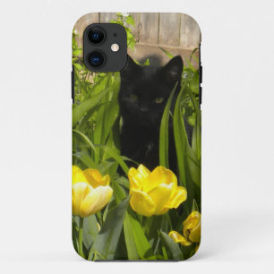 Kitten noir, tulipes jaunes. iPhone 5 coque