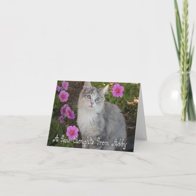 Kitten Note Card (Front)