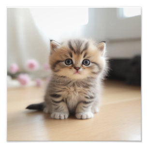 Kitten Nursery & Children's Room Prints