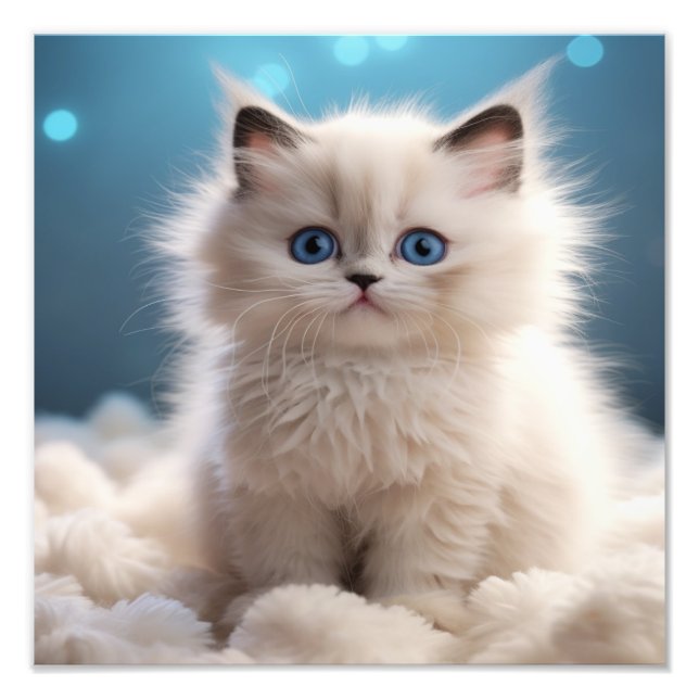 Kitten Nursery & Children's Room Prints (Front)