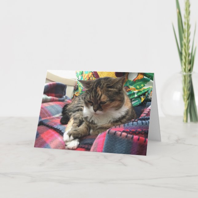 kitten obtenir carte de puits #2 (Devant)