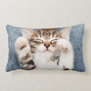 Kitten On My Lap Lumbar Pillow