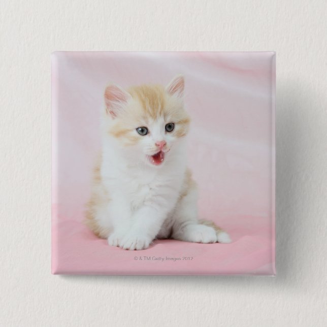 Kitten on Pink Background 2 Inch Square Button (Front)