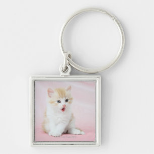 Kitten on Pink Background Keychain