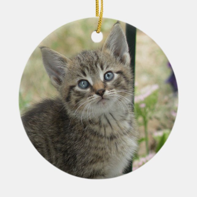 Kitten Ornament (Front)