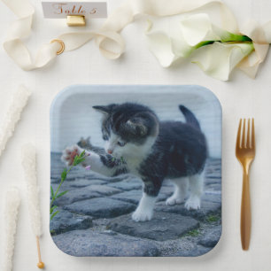 Kitten Paper Plate