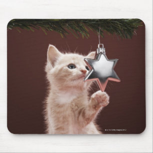 Kitten pawing Christmas decoration on tree Mouse Pad