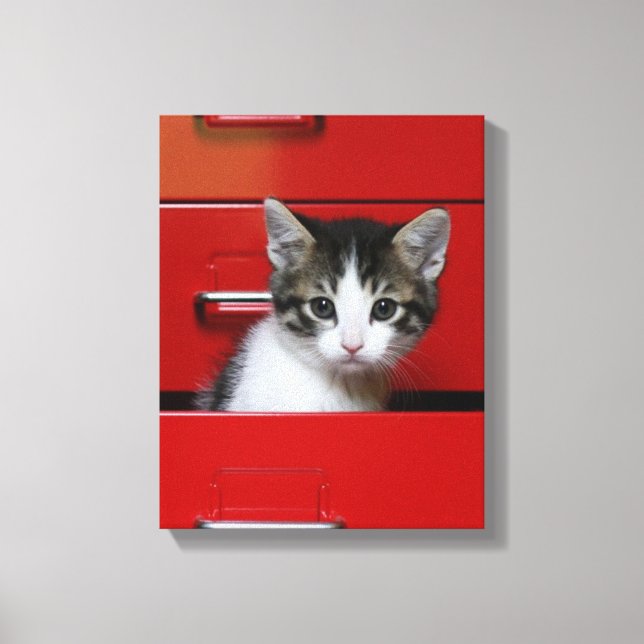 Kitten Peeking Canvas Print (Front)