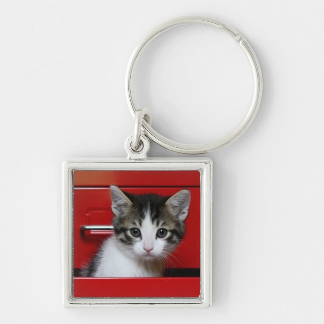 Kitten Peeking Keychain (Front)