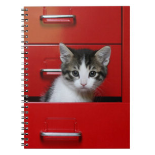 Kitten Peeking Notebook